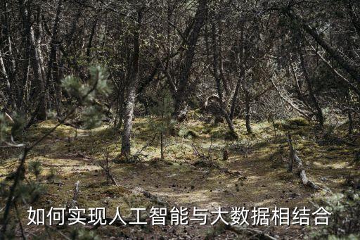 如何實現(xiàn)人工智能與大數(shù)據(jù)相結(jié)合