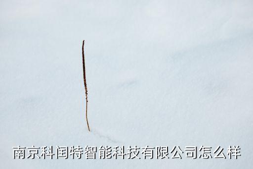 南京科閏特智能科技有限公司怎么樣