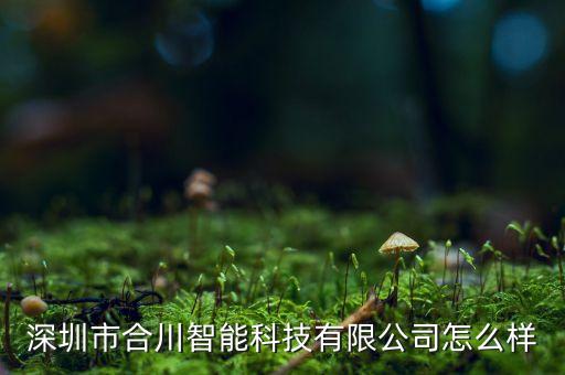 深圳合川智能科技怎么樣，在深圳龍華大浪的合川科技半年前進去一天就走了可以再進嗎  搜