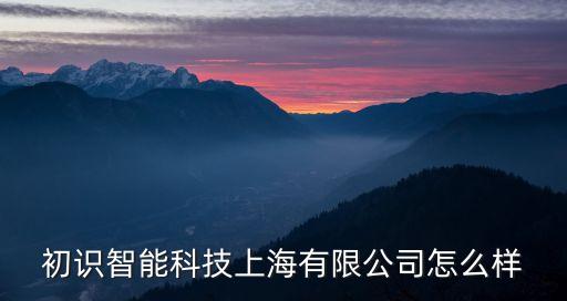 初識智能科技上海有限公司怎么樣