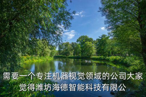 需要一個(gè)專(zhuān)注機(jī)器視覺(jué)領(lǐng)域的公司大家覺(jué)得濰坊海德智能科技有限公