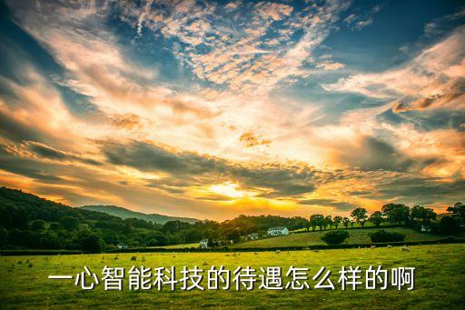 一心智能科技的待遇怎么樣的啊