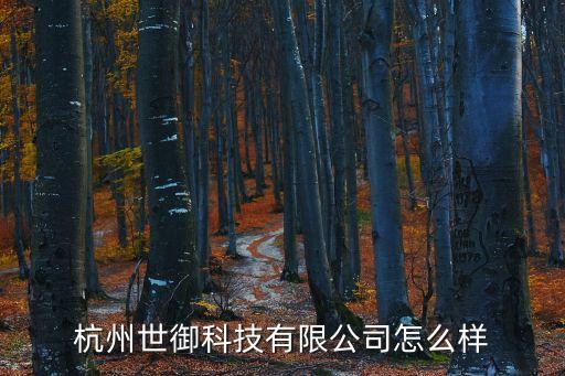 杭州世御科技有限公司怎么樣