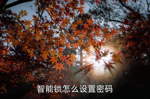 智能鎖怎么設(shè)置密碼