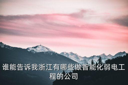 誰能告訴我浙江有哪些做智能化弱電工程的公司