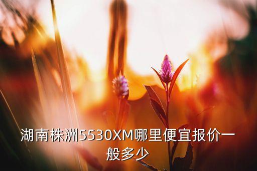 湖南高科技智能睡枕多少錢，湖南株洲5530XM哪里便宜報(bào)價(jià)一般多少