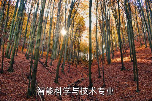 智能科學(xué)與技術(shù)專業(yè)