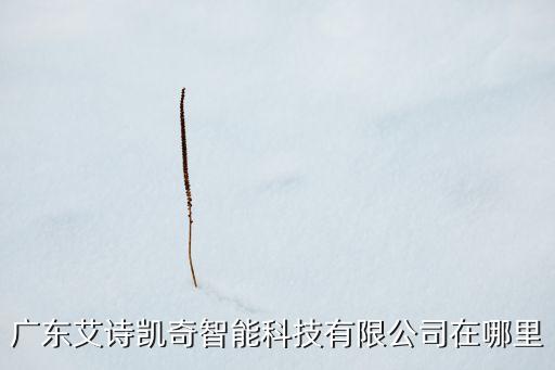 廣東艾詩(shī)凱奇智能科技有限公司在哪里