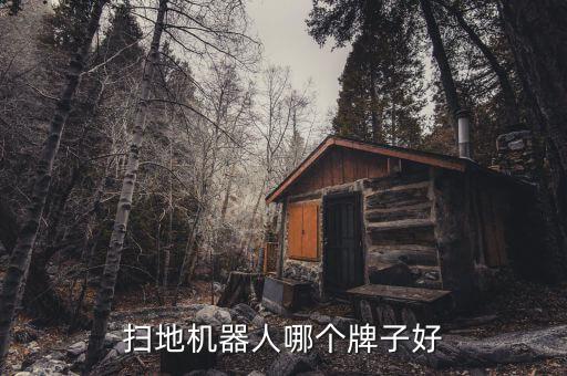 科技感智能機器人推薦哪個，高科技的機器人哪個牌子的好啊