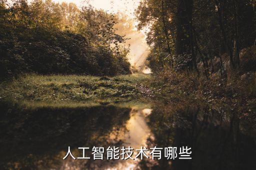 人工智能技術(shù)有哪些