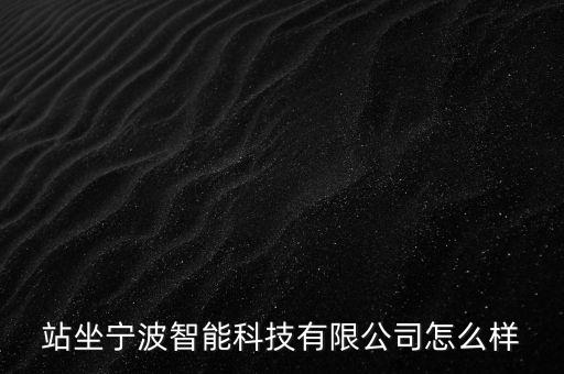 站坐寧波智能科技有限公司怎么樣