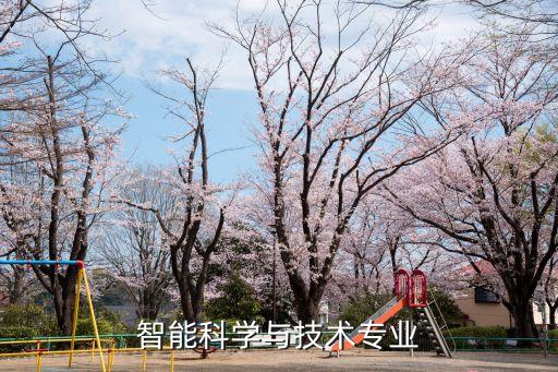 智能科學(xué)與技術(shù)專業(yè)