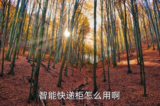智能快遞柜怎么用啊