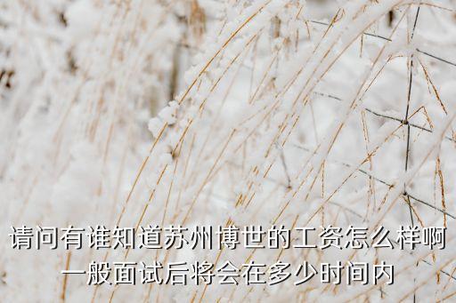 請問有誰知道蘇州博世的工資怎么樣啊一般面試后將會在多少時間內(nèi)