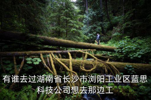 有誰去過湖南省長沙市瀏陽工業(yè)區(qū)藍思科技公司想去那邊工