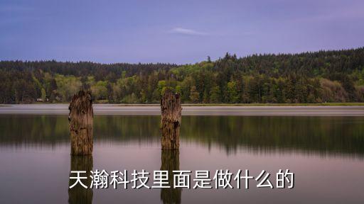 天瀚科技里面是做什么的