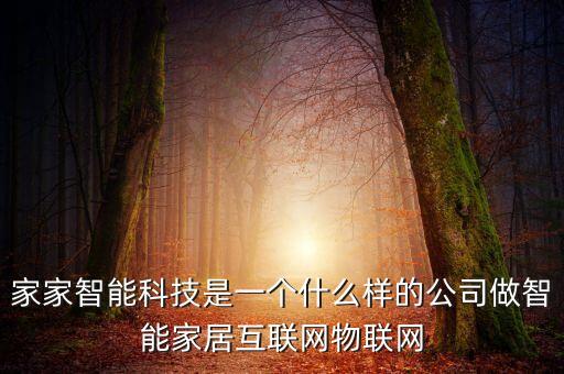 家家智能科技是一個(gè)什么樣的公司做智能家居互聯(lián)網(wǎng)物聯(lián)網(wǎng)