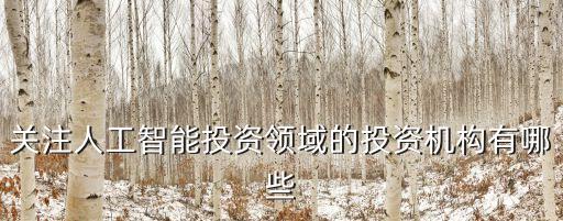 關(guān)注人工智能投資領(lǐng)域的投資機構(gòu)有哪些