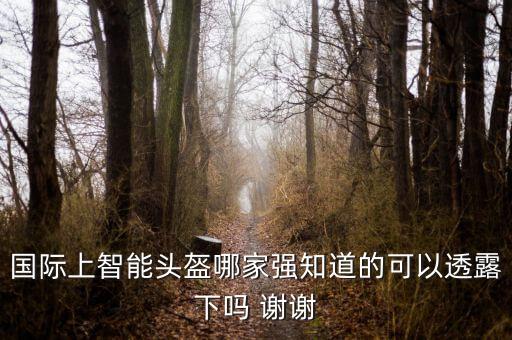 國(guó)際上智能頭盔哪家強(qiáng)知道的可以透露下嗎 謝謝