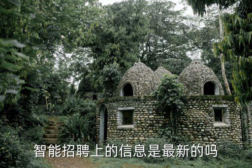 智能招聘上的信息是最新的嗎