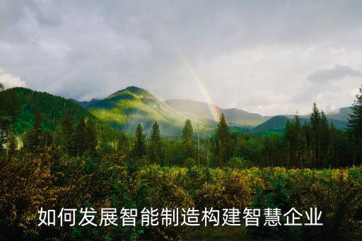 如何發(fā)展智能制造構(gòu)建智慧企業(yè)