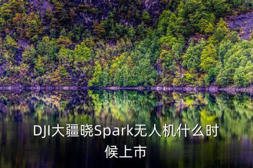DJI大疆曉Spark無人機(jī)什么時候上市