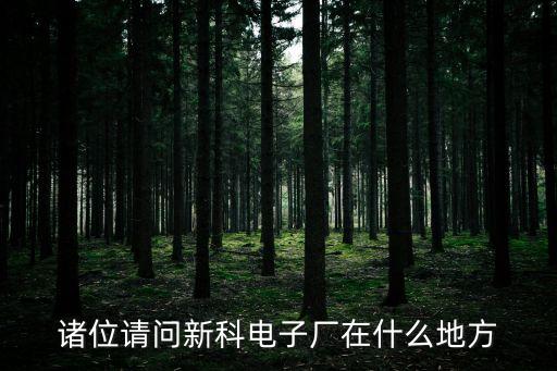 諸位請(qǐng)問新科電子廠在什么地方