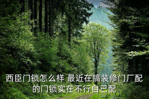 西臣智能科技怎么樣，西臣門鎖怎么樣 最近在搞裝修門廠配的門鎖實(shí)在不行自已配