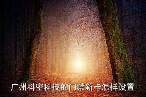 廣州科密科技的門禁新卡怎樣設(shè)置