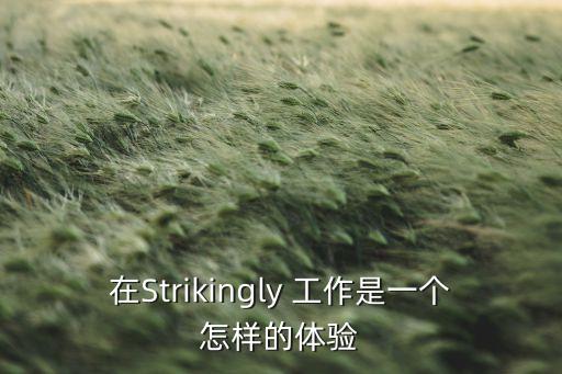 傅利葉智能科技上班怎么樣，在Strikingly 工作是一個(gè)怎樣的體驗(yàn)