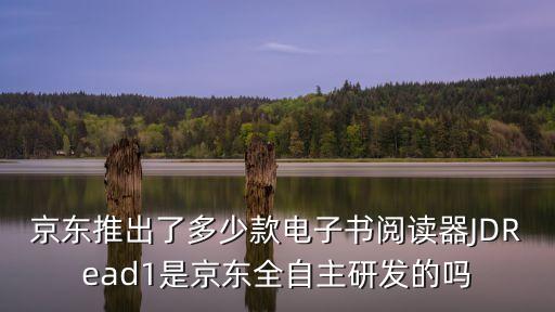 京東推出了多少款電子書閱讀器JDRead1是京東全自主研發(fā)的嗎