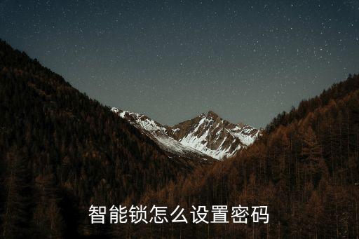 智能鎖怎么設(shè)置密碼
