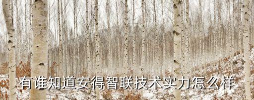 有誰知道安得智聯(lián)技術(shù)實力怎么樣