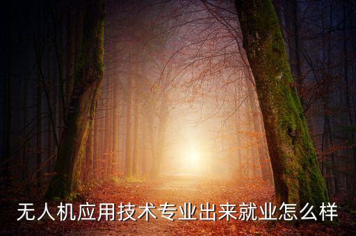 西安永安智能科技怎么樣，無人機應(yīng)用技術(shù)專業(yè)出來就業(yè)怎么樣