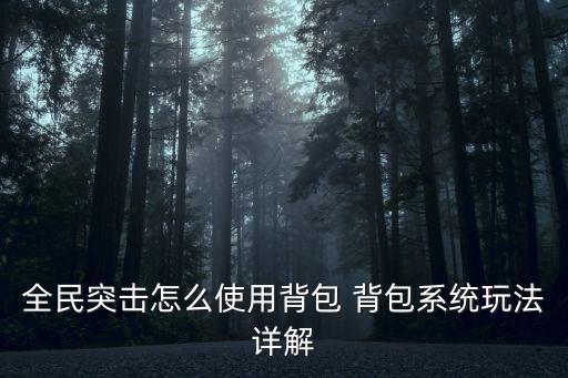 全民突擊怎么使用背包 背包系統(tǒng)玩法詳解