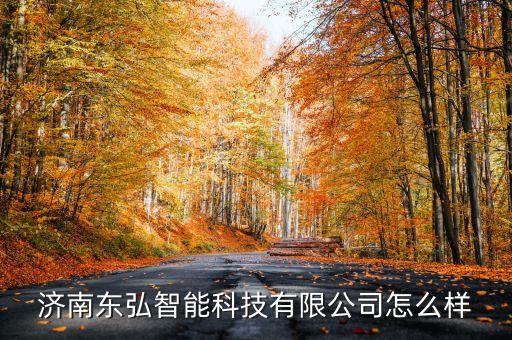 濟(jì)南東弘智能科技有限公司怎么樣