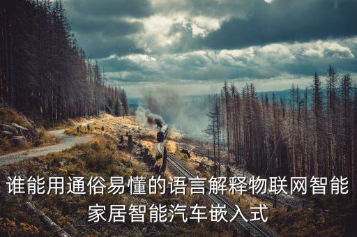 誰能用通俗易懂的語言解釋物聯網智能家居智能汽車嵌入式