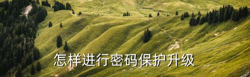 怎樣進(jìn)行密碼保護(hù)升級(jí)