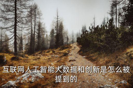 互聯(lián)網(wǎng)人工智能大數(shù)據(jù)和創(chuàng)新是怎么被提到的