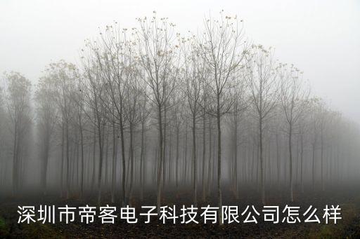 深圳市帝客電子科技有限公司怎么樣