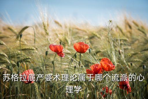 助產(chǎn)有哪些智能科技，蘇格拉底產(chǎn)婆術(shù)理論屬于哪個流派的心理學(xué)