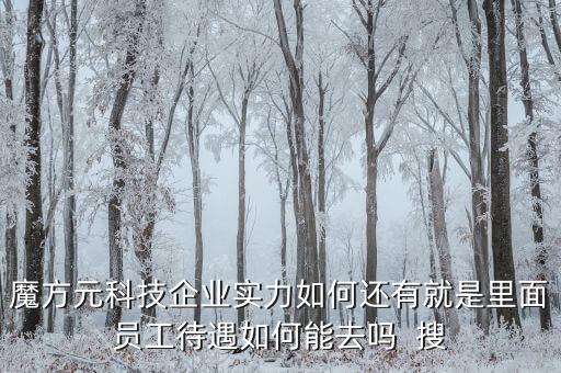 魔方元科技企業(yè)實(shí)力如何還有就是里面員工待遇如何能去嗎  搜