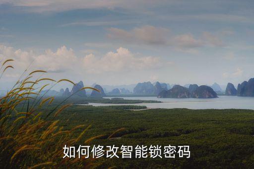 如何修改智能鎖密碼