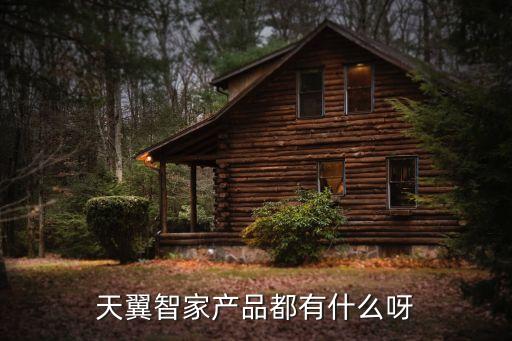 天翼智家產(chǎn)品都有什么呀