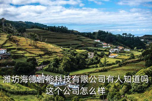 濰坊海德智能科技有限公司有人知道嗎這個(gè)公司怎么樣