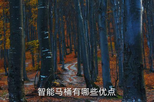 智能馬桶有哪些優(yōu)點(diǎn)