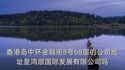 香港島中環(huán)金融街8號68層的公司地址是鴻順國際發(fā)展有限公司嗎