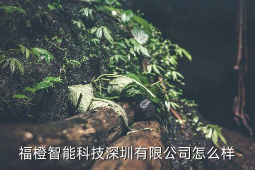 福橙智能科技深圳有限公司怎么樣