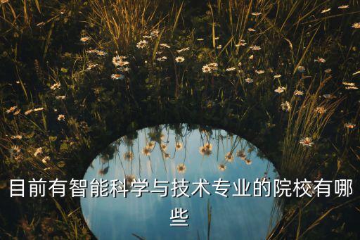 目前有智能科學(xué)與技術(shù)專業(yè)的院校有哪些