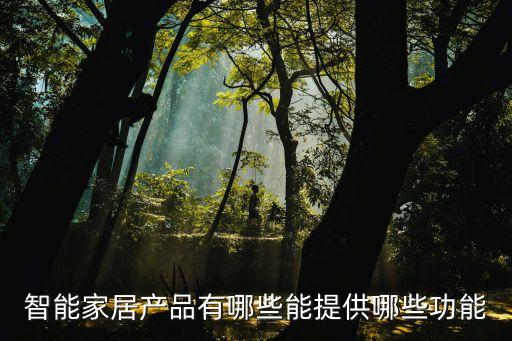 智能家居產(chǎn)品有哪些能提供哪些功能
